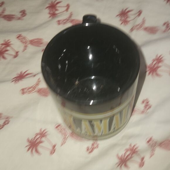 Pittsburgh Steelers Troy Polamalu 43 Mug - Picture 4 of 4